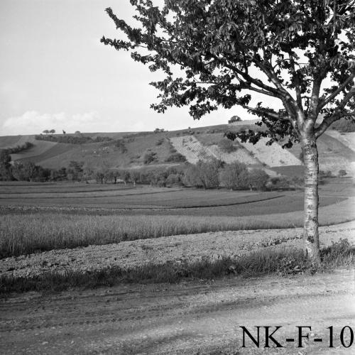 Landessammlungen Niederösterreich