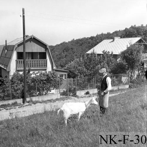 Landessammlungen Niederösterreich