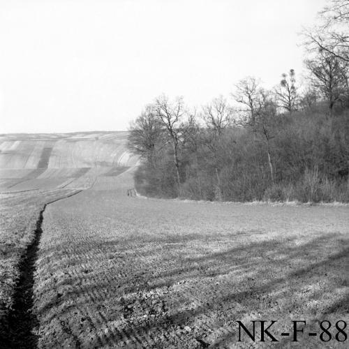 Landessammlungen Niederösterreich