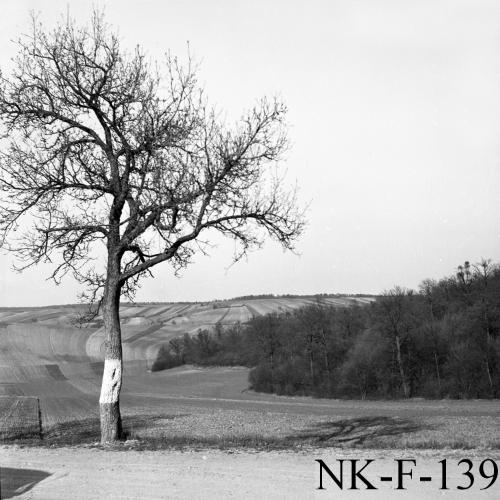 Landessammlungen Niederösterreich