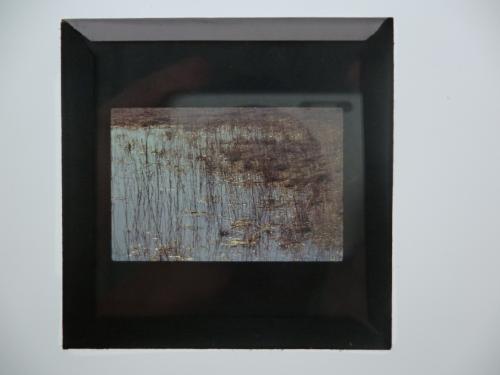 Landessammlungen Niederösterreich