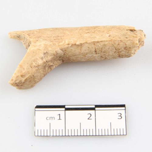 Landessammlungen Niederösterreich