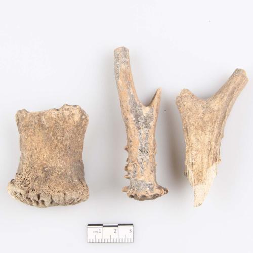 Landessammlungen Niederösterreich