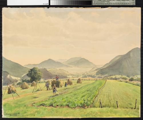 Landessammlungen Niederösterreich