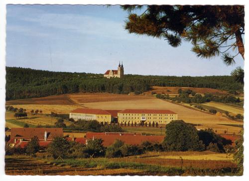 Landessammlungen Niederösterreich