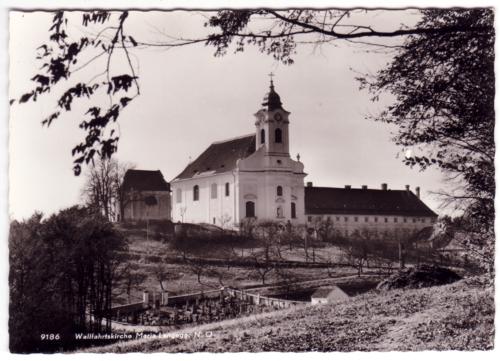 Landessammlungen Niederösterreich