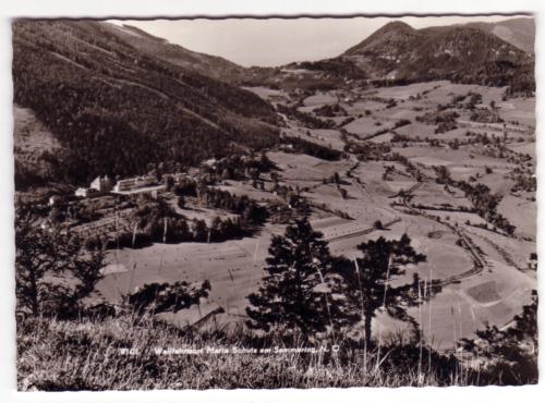 Landessammlungen Niederösterreich