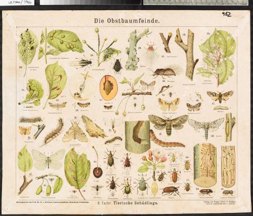 Landessammlungen Niederösterreich