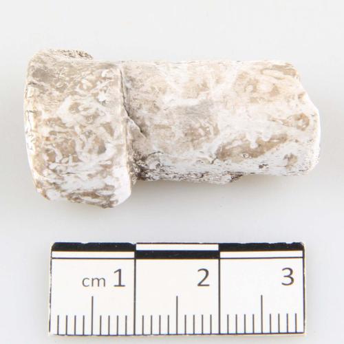 Landessammlungen Niederösterreich