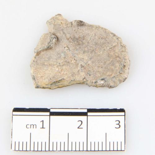 Landessammlungen Niederösterreich