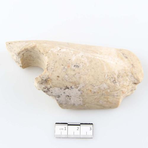 Landessammlungen Niederösterreich