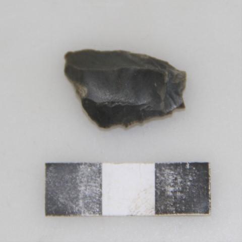 Landessammlungen Niederösterreich