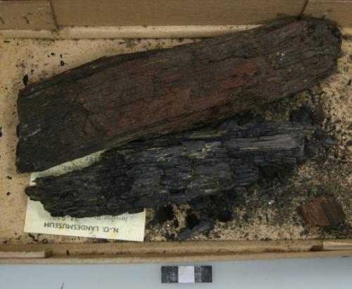 Landessammlungen Niederösterreich