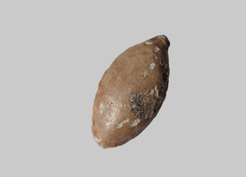 Landessammlungen Niederösterreich