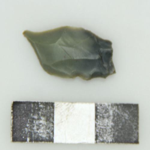 Landessammlungen Niederösterreich