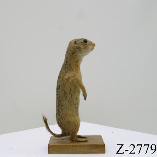 Landessammlungen Niederösterreich