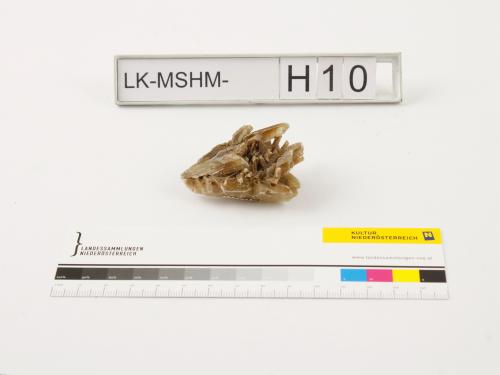 Landessammlungen Niederösterreich