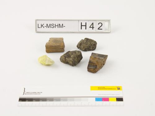 Landessammlungen Niederösterreich