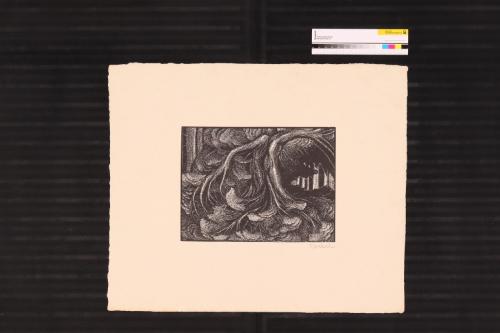 Landessammlungen Niederösterreich