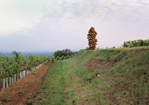 Landessammlungen Niederösterreich