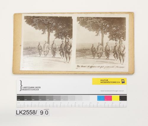 Landessammlungen Niederösterreich