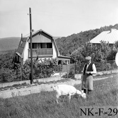 Landessammlungen Niederösterreich