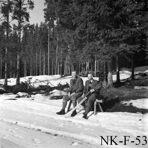 Landessammlungen Niederösterreich