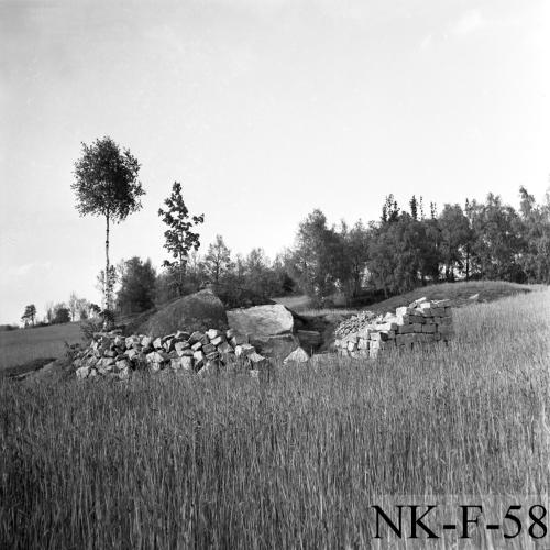 Landessammlungen Niederösterreich