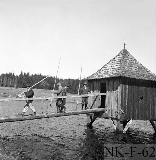 Landessammlungen Niederösterreich