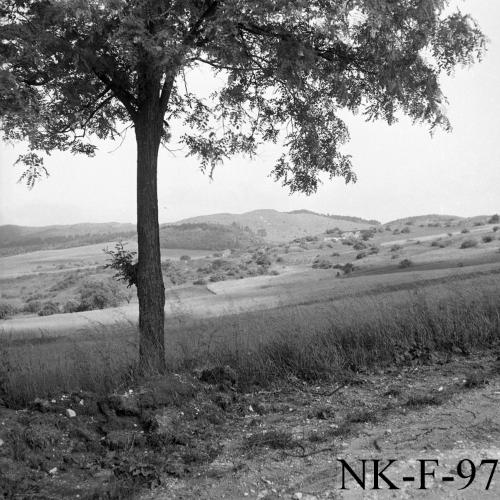 Landessammlungen Niederösterreich