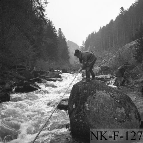 Landessammlungen Niederösterreich