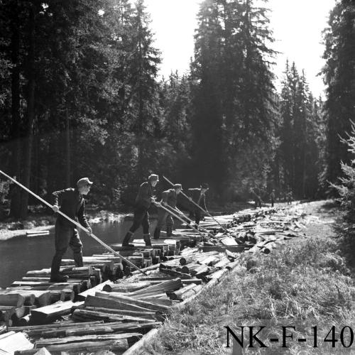 Landessammlungen Niederösterreich