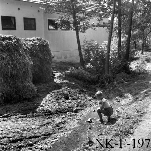 Landessammlungen Niederösterreich