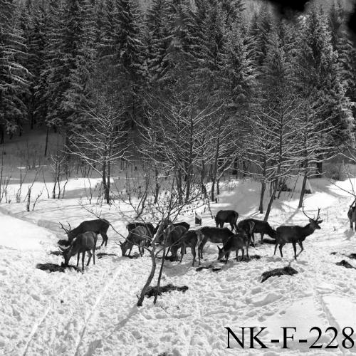 Landessammlungen Niederösterreich