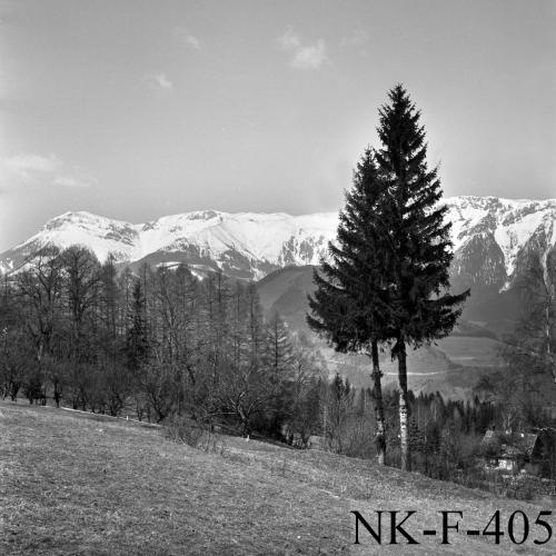 Landessammlungen Niederösterreich