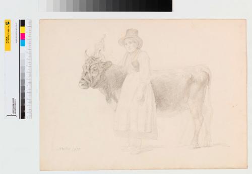 Landessammlungen Niederösterreich