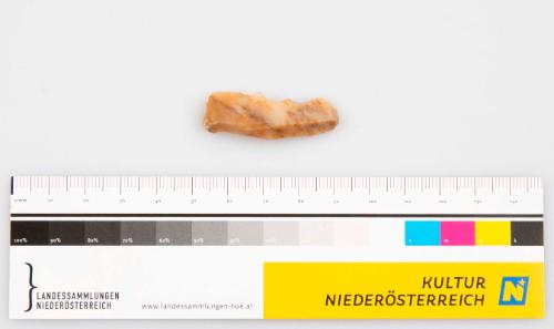 Landessammlungen Niederösterreich