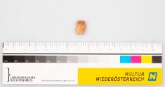 Landessammlungen Niederösterreich
