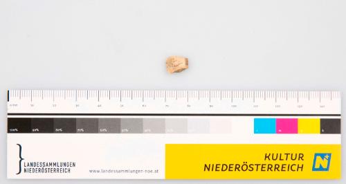Landessammlungen Niederösterreich