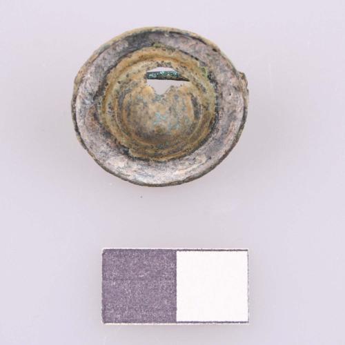 Landessammlungen Niederösterreich