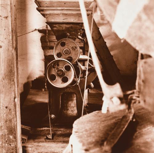 Landessammlungen Niederösterreich