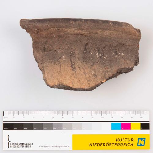 Landessammlungen Niederösterreich