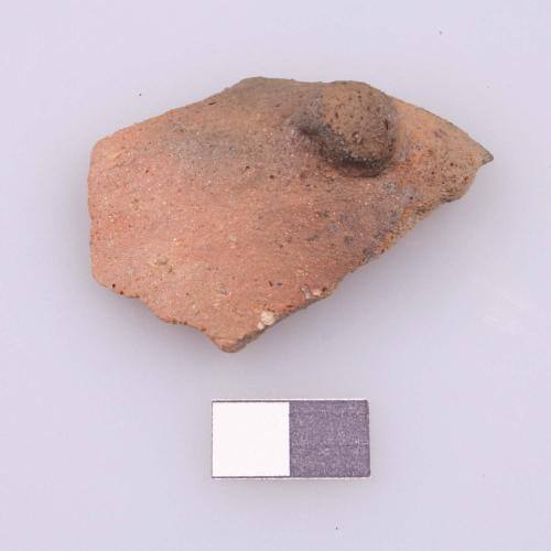 Landessammlungen Niederösterreich