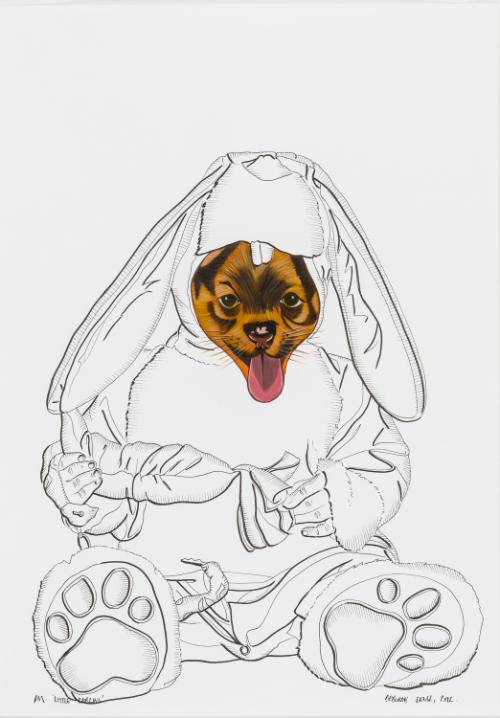 Landessammlungen Niederösterreich