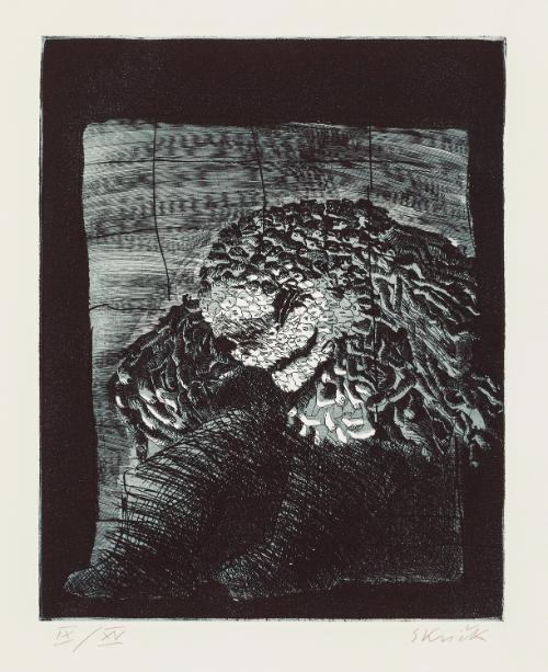 Landessammlungen Niederösterreich