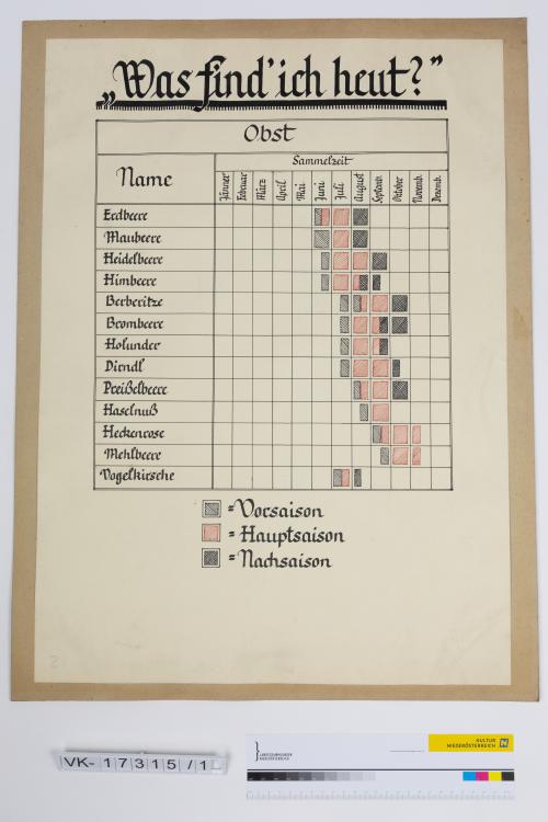 Landessammlungen Niederösterreich