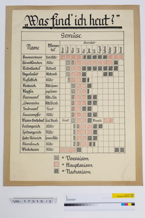 Landessammlungen Niederösterreich