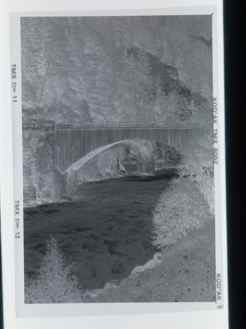 Landessammlungen Niederösterreich