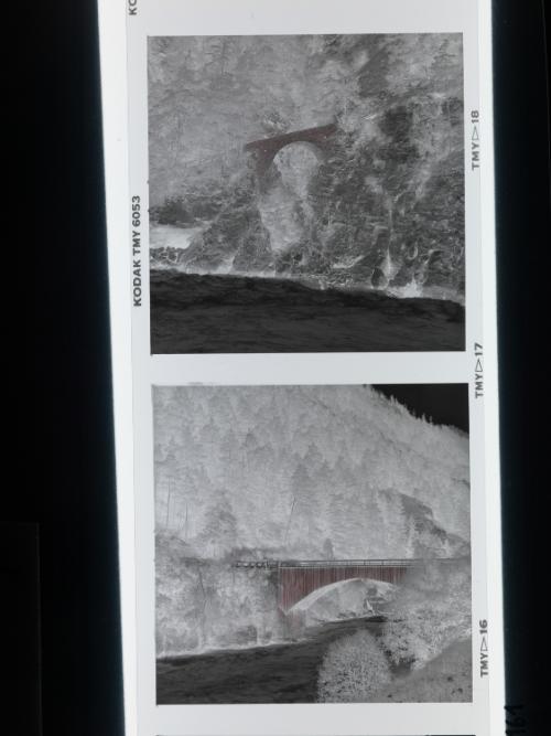 Landessammlungen Niederösterreich