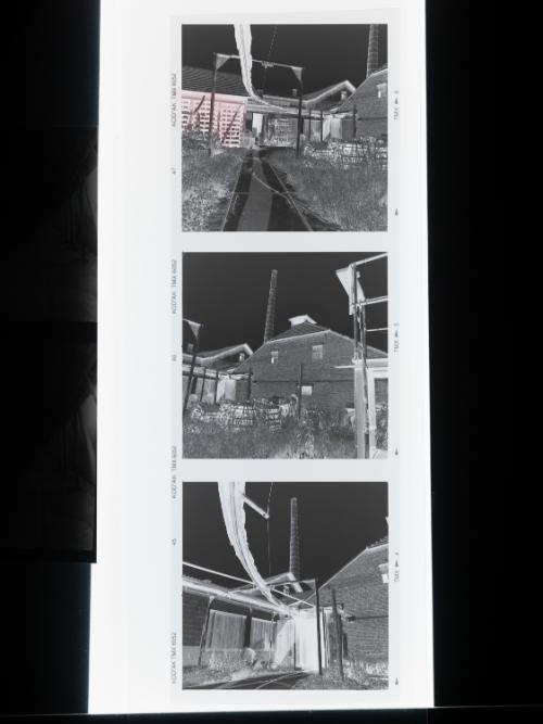 Landessammlungen Niederösterreich